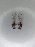 arete picaflor - Imagen 3